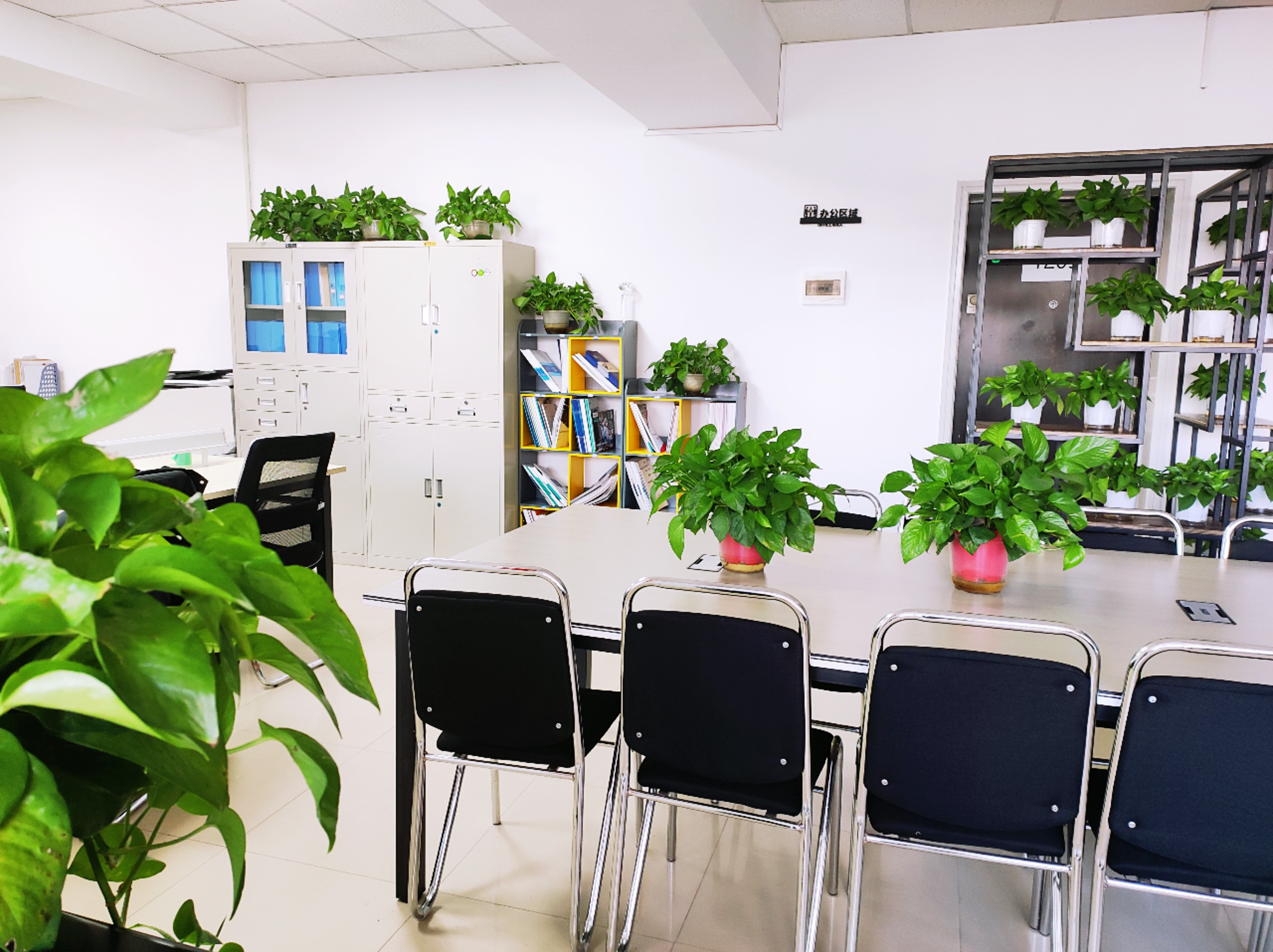 1646383976293267.jpg 1646383976293267.jpg